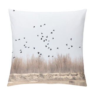 Personality  A Flock Of Crows In The Sky On The Bare Branches Of Trees Pillow Covers