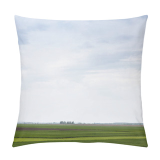 Personality  Cloudy Sky Near Green Grass On Field  Pillow Covers
