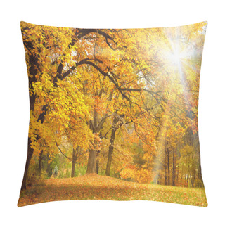 Personality  Gold Autumn With Sunlight - Beautiful Trees In The Forest Pillow Covers