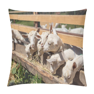 Personality  Livestock Pillow Covers