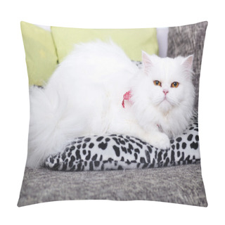 Personality  White Persian Cat Pillow Covers