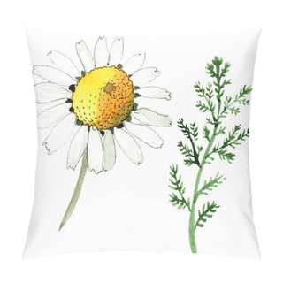Personality  Chamomile Flower And Leaf. Spring White Wildflower Isolated. Watercolor Background Illustration Set. Watercolour Drawing Fashion Aquarelle Isolated. Isolated Chamomile Illustration Element. Pillow Covers