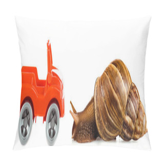 Personality  Slimy Brown Snail Near Red Toy Car Isolated On White, Panoramic Shot Pillow Covers