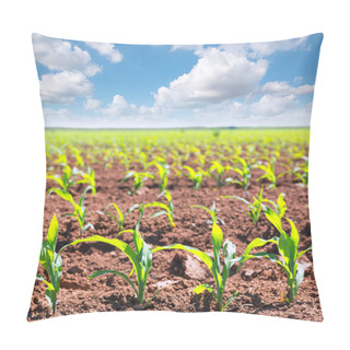 Personality  Corn Fields Sprouts In Rows In California Agriculture Pillow Covers