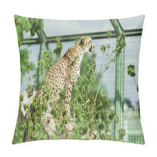 Personality  Selective Focus Of Wild Leopard Sitting Near Green Plants In Zoo  Pillow Covers