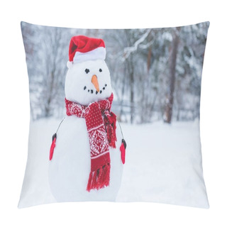 Personality  Close Up View Of Snowman In Santa Hat, Scarf And Mittens I Winter Park Pillow Covers