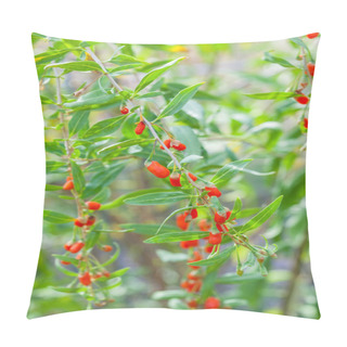 Personality  Goji Plant Pillow Covers