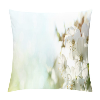 Personality  Blossoming Cherry Tree, Closeup Pillow Covers