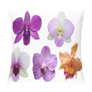 Personality  5 Orchid Flower Isolate On White Background Pillow Covers
