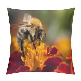 Personality  Bee At Work Pillow Covers