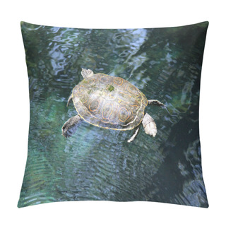 Personality   Turtle In Water, Cenote In Central America Pillow Covers