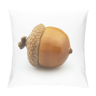 Personality  Dried Acorn Pillow Covers