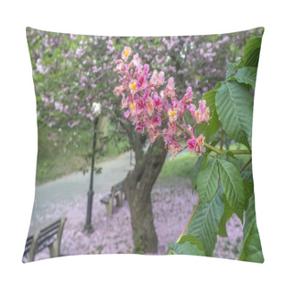 Personality  Spring In Central Park Japanese Cherry Pillow Covers