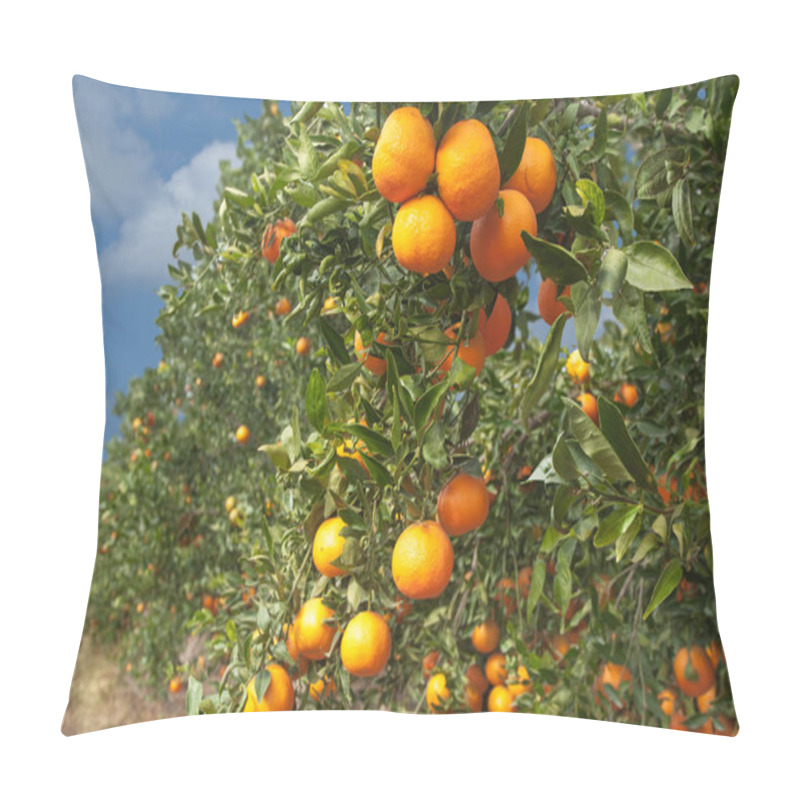 Personality  ripening tangerines on branches pillow covers