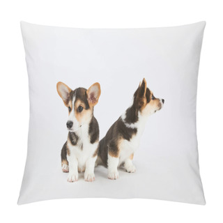 Personality  Adorable Welsh Corgi Puppies On White Background Pillow Covers