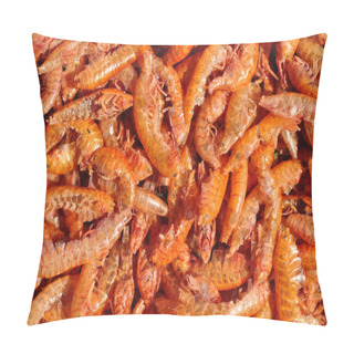 Personality  Dry Gammarus Pillow Covers