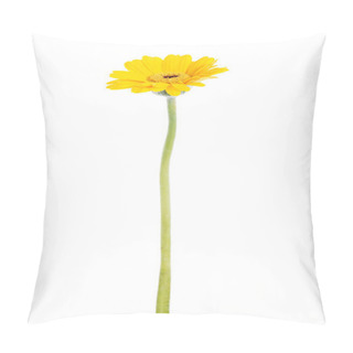Personality  One Separate Gerbera Flower. Pillow Covers