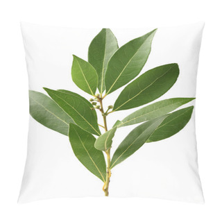 Personality  Leaves Of Laurel Pillow Covers