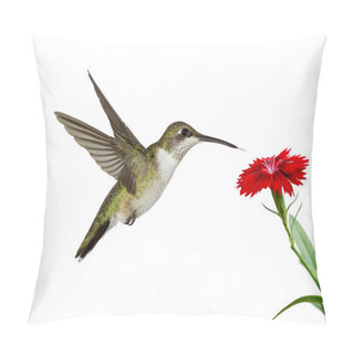 Personality  Hummingbird And A Red Dianthus Pillow Covers
