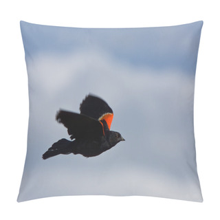 Personality  Red Winged Blackbird In Flight Canada Pillow Covers