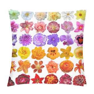 Personality  Big Selection Of Various Flowers Isolated On White Background Pillow Covers