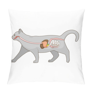 Personality  Digestive System Of The Cat Vector Illustration Pillow Covers