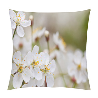 Personality  Blooms Tree Branch In Blur Background Pillow Covers