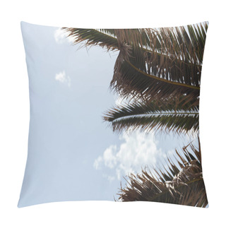 Personality  Bottom View Of Branches Of Palm Trees With Sky At Background  Pillow Covers