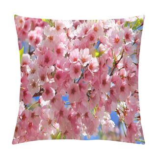 Personality  Cherry Blossoms Pillow Covers