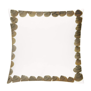 Personality  Frame Of Moon Snail Shells Pillow Covers