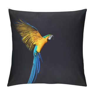 Personality  Colourful Flying Ara On A Dark Background Pillow Covers
