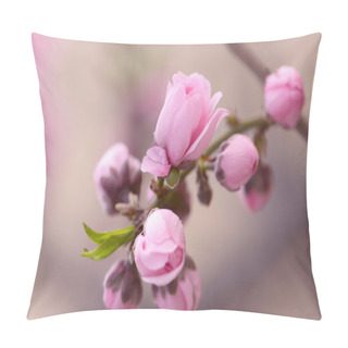 Personality  Cherry Buds Pillow Covers