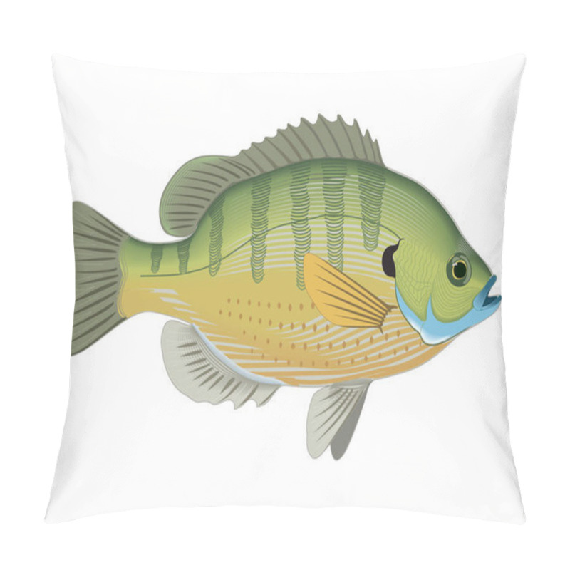 Personality  Bluegill Inhabit The Rivers Of Many Countries. Vector Illustration. Pillow Covers