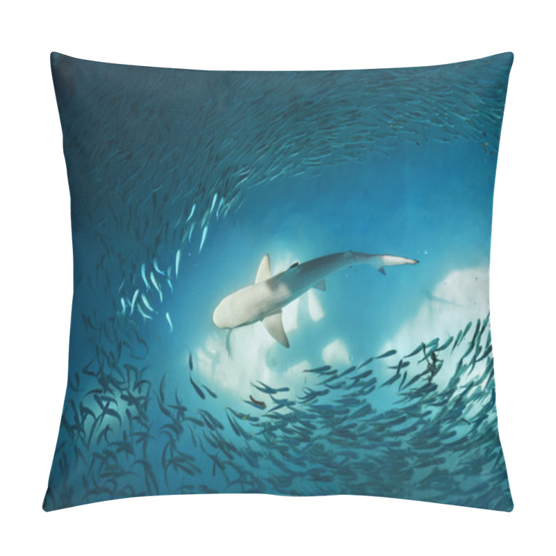 Personality  Shark and small fishes in ocean pillow covers