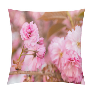 Personality  Macro Photo Of Blossoming Pink Flowers Of Aromatic Cherry Tree In Park Pillow Covers