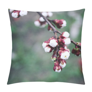 Personality  White Plum Buds. Blooming. Spring Season.  Pillow Covers