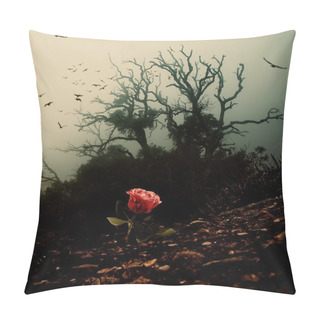 Personality  Red Rose Growing Through Soil Against Spooky Tree Pillow Covers