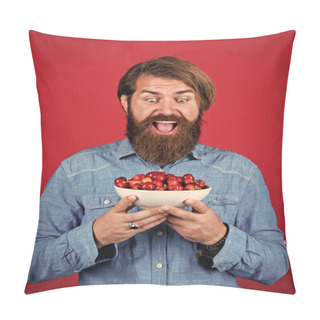 Personality  Sweet And Soft. Man Holding Ripe Sweet Cherries. Eating Ripe Berries In Early Summer. Fresh Red Sour Cherries Harvest In Plate. Seasonal Cherry Harvest In Industrial Orchard. Full Pot Of Cherries Pillow Covers
