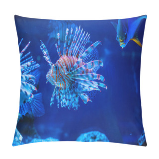 Personality  Tropical Lion Fish   Pillow Covers