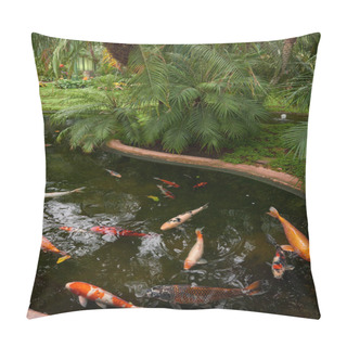 Personality  Majestic Japanese Koi Fish Swimming In Pond At Greenhouse. Japanese Carp Gracefully Gliding In Greenhouse Pond. Tranquil Japanese Koi Fish Pond In Greenhouse Oasis. Exotic Japanese Koi Fish In Pillow Covers