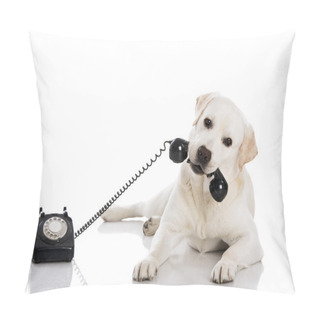 Personality  Labrador Answering A Call Pillow Covers