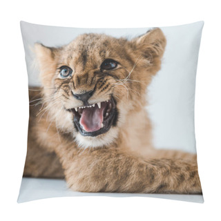 Personality  Close Up View Of Lion Cub Growling While Lying On Table In Veterinary Clinic Pillow Covers