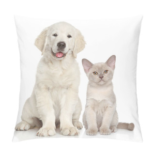 Personality  Cat And Dog Together On White Background. Animal Themes Pillow Covers