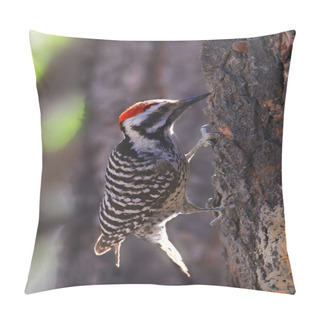 Personality  Ladder-backed Woodpecker (male) (dryobates Scalaris) Pillow Covers