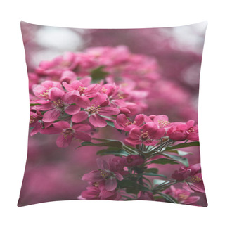 Personality  Close-up Shot Of Beautiful Pink Cherry Blossom On Natural Blurred Background Pillow Covers