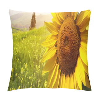 Personality  Landscape With Sunflowers In Tuscany, Italy Pillow Covers