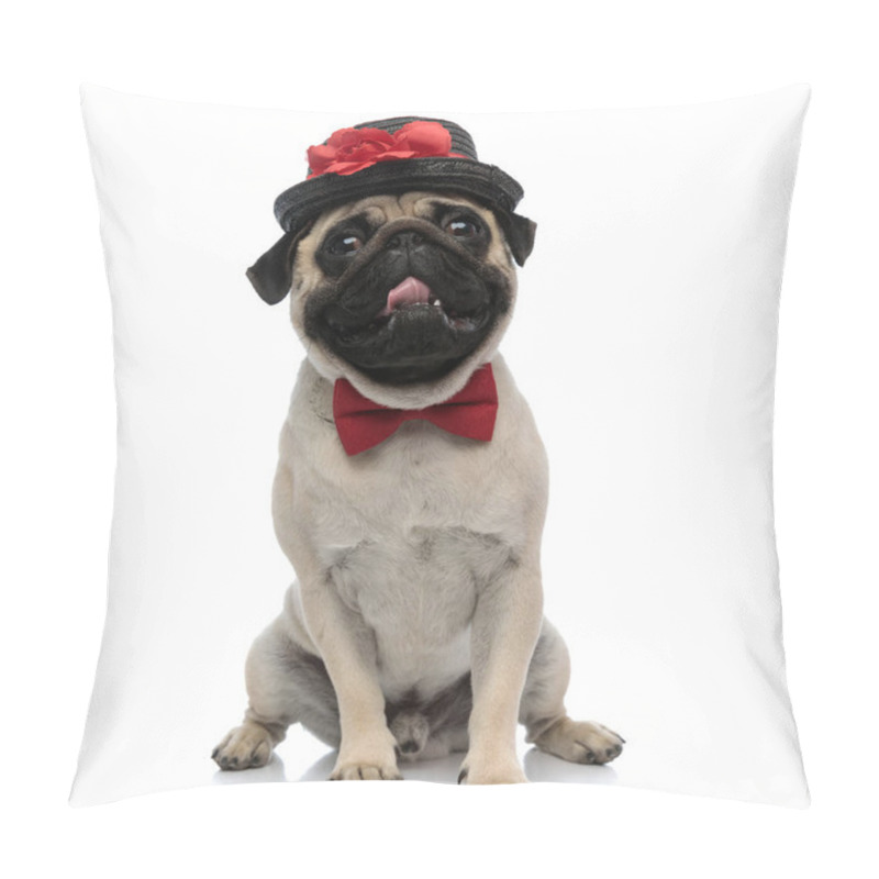 Personality  Lovely pug panting, wearing a cap with a flower pillow covers