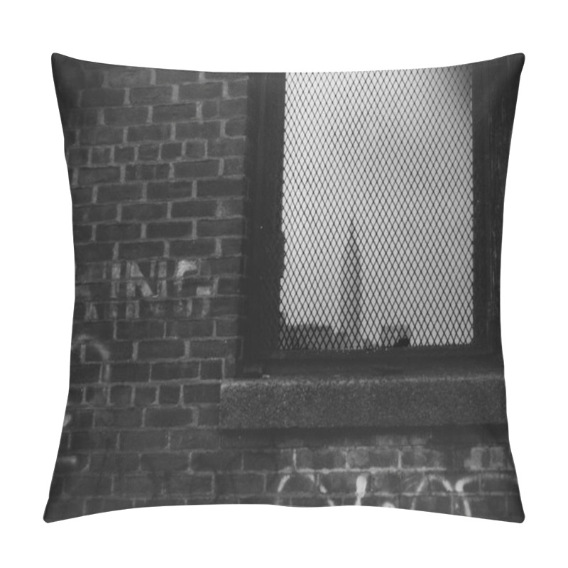 Personality  Brick wall with writings. Bars on the window pillow covers