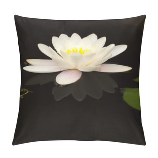 Personality  White Water Lily In Dark Pond. Pillow Covers