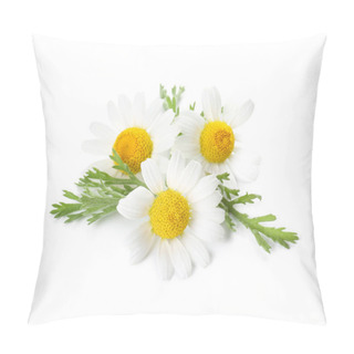 Personality  Beautiful Chamomile Flowers On White Background Pillow Covers
